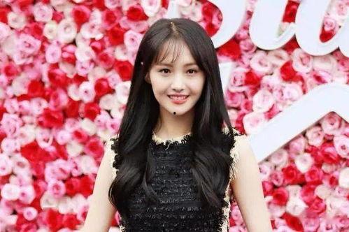 郑爽 知乎爆料文案视频,揭秘娱乐圈背后的真相